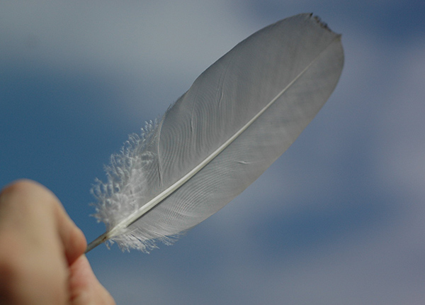 Person holding feather