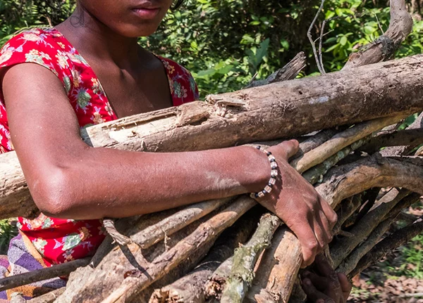 Woman carrying sticks through a forested area