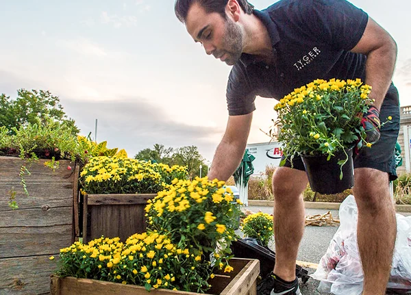 Man arranging yellow flowers at a nursery