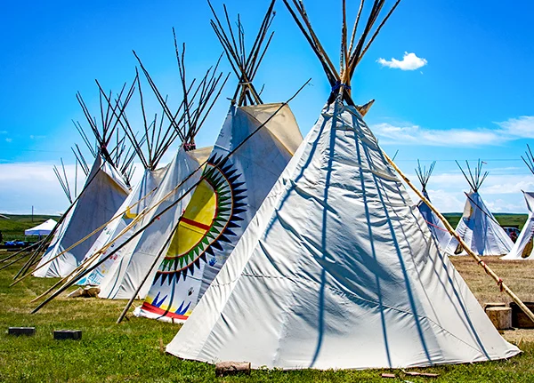 Rows of teepees in a field