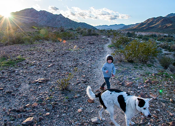 Child walking down a hiking trail with a dog