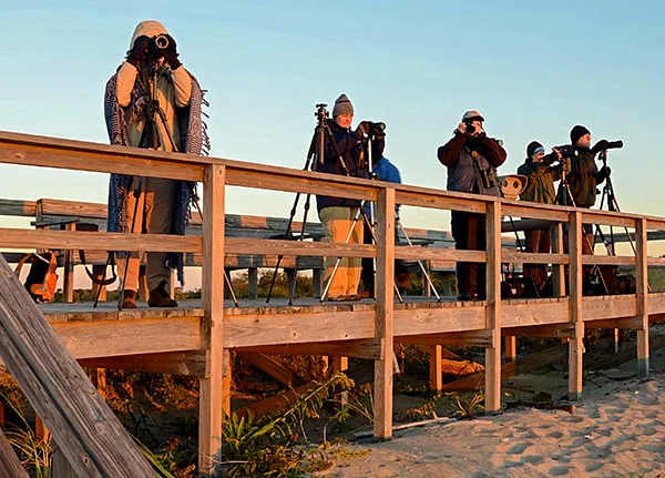 Photographers standing on a platform taking photos
