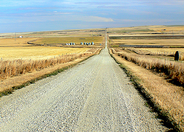 Rural dirt road cutting across vast farming fields