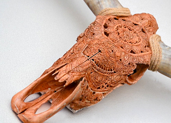 A cow skull with intricate designs carved into it