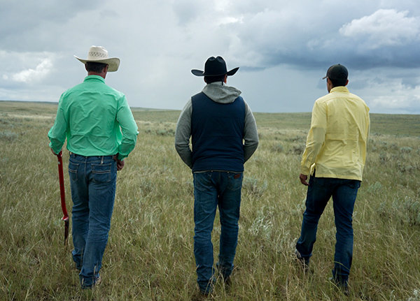 Three people walking through a field with their backs to the camera