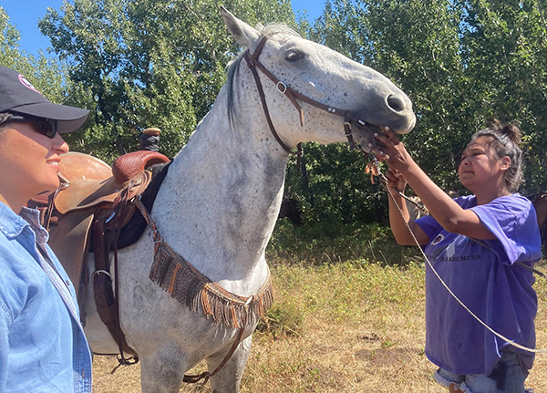 Man and woman getting a horse ready to ride