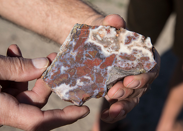 Hands holding a unique rock