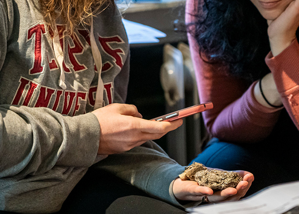Person taking a picture of a rock with their cell phone