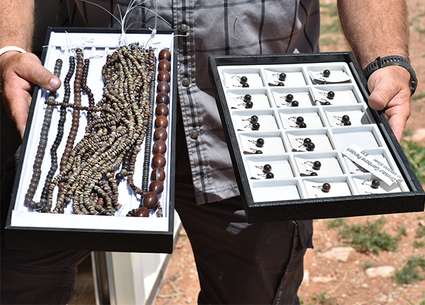 A person holding two display trays showcasing natural stones and jewelry