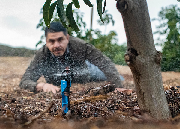 Man on the ground inspecting a sprinkler