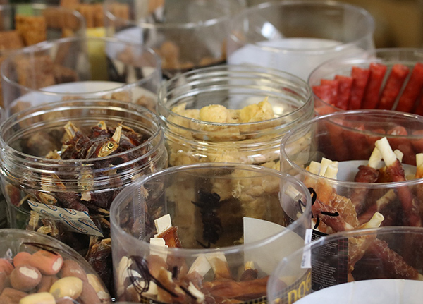 Dog treats in clear containers