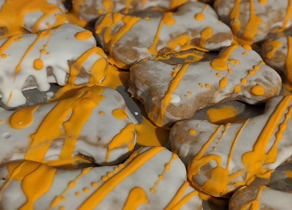 Dog treats in the shape of bones