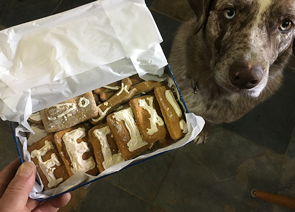 Dog treats in a box that spell out the name Felix