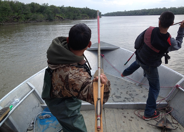 hunting with seal spears