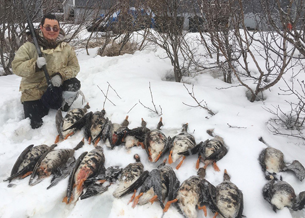 Person poses with a rifle next to hunted geese