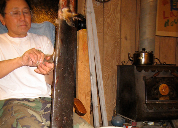 Man stretching fox fur