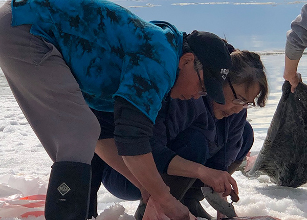 A man and woman leaning over skinning an unseen seal