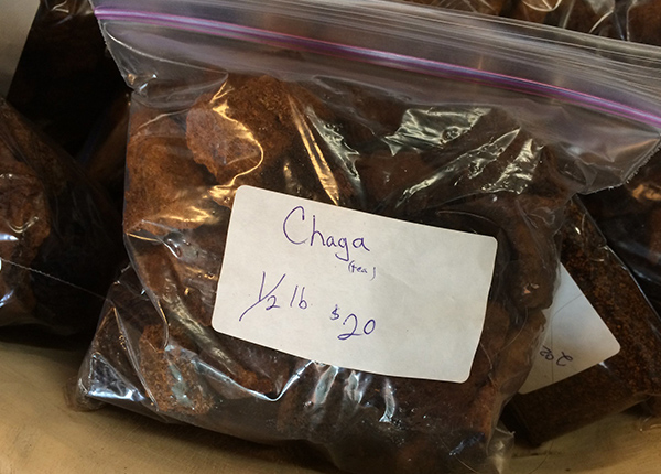 Chaga tea for sale in a clear plastic bag
