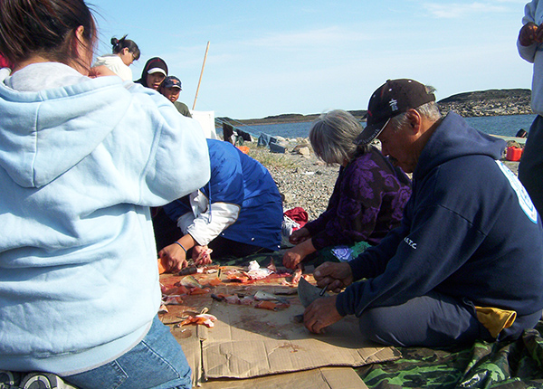 A group of people stand and sit around meat laid out on cardboard